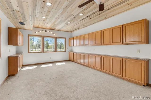408 Foxtail Lane Fairplay, CO 80440