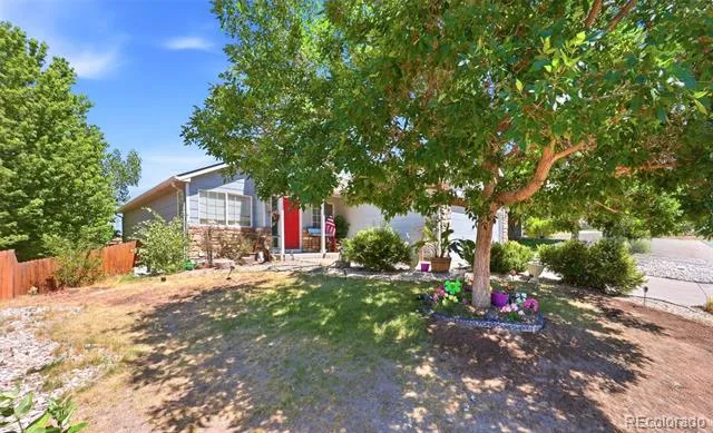 607 Branding Iron Lane Castle Rock, CO 80104
