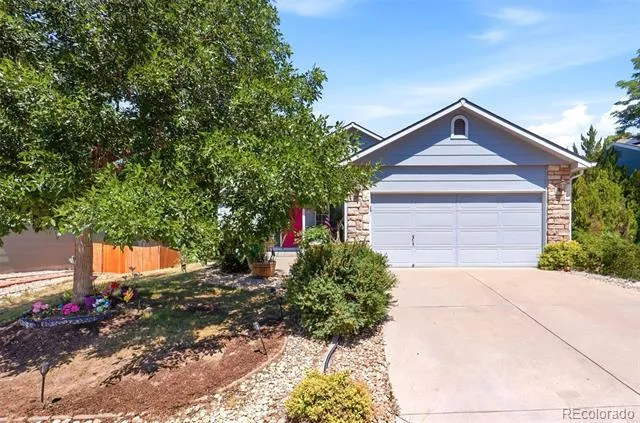 607 Branding Iron Lane Castle Rock, CO 80104