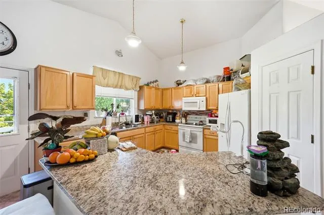 607 Branding Iron Lane Castle Rock, CO 80104