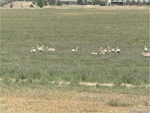 0 County Road 63 Gill, CO 80624