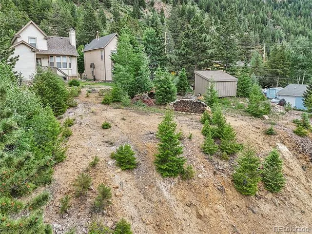 000 Main Street Georgetown, CO 80444