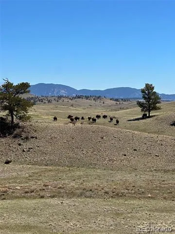 391 Gulch Road Hartsel, CO 80449