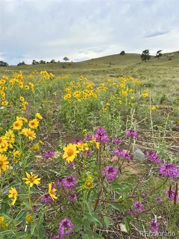 391 Gulch Road Hartsel, CO 80449