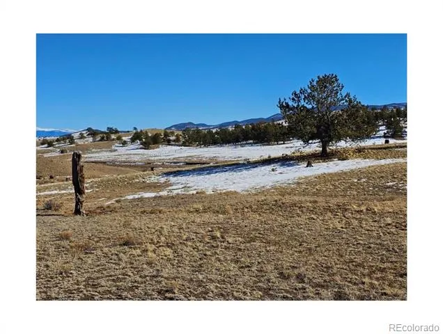 391 Gulch Road Hartsel, CO 80449