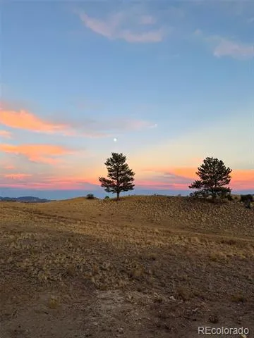 391 Gulch Road Hartsel, CO 80449