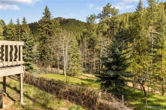 1264 Beaver Brook Canyon Road Evergreen, CO 80439