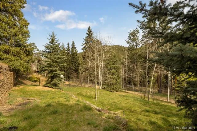 1264 Beaver Brook Canyon Road Evergreen, CO 80439