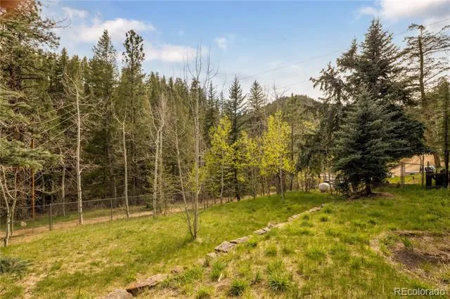 1264 Beaver Brook Canyon Road Evergreen, CO 80439