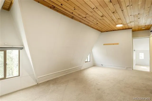 1264 Beaver Brook Canyon Road Evergreen, CO 80439
