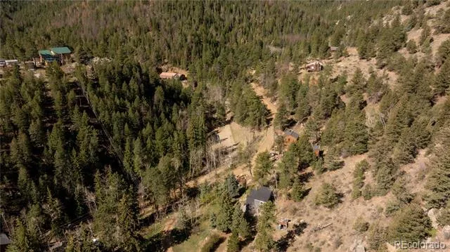 1264 Beaver Brook Canyon Road Evergreen, CO 80439