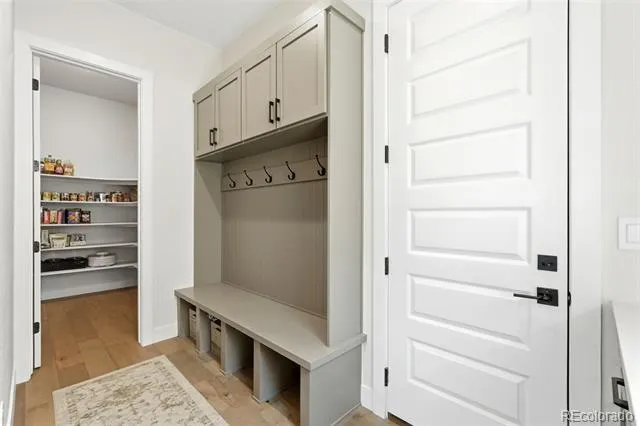 1702 Branching Canopy Drive Windsor, CO 80550