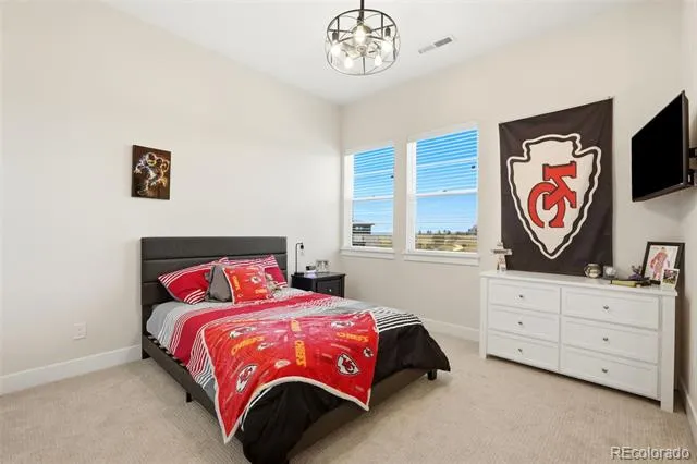 1702 Branching Canopy Drive Windsor, CO 80550