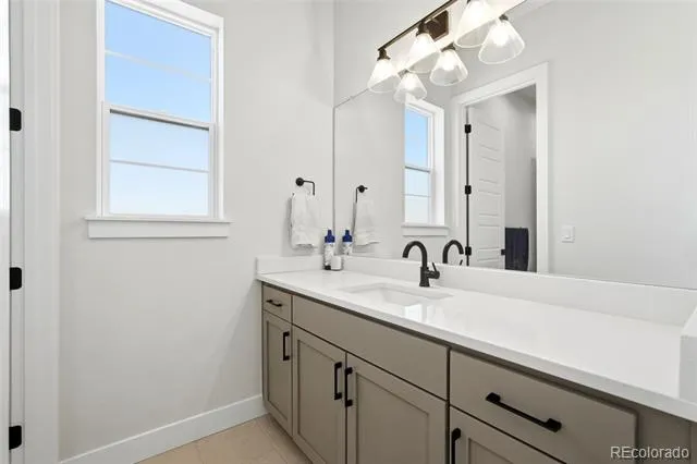 1702 Branching Canopy Drive Windsor, CO 80550
