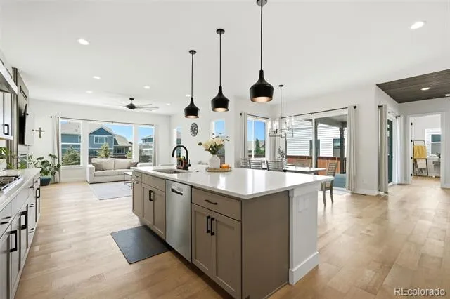 1702 Branching Canopy Drive Windsor, CO 80550