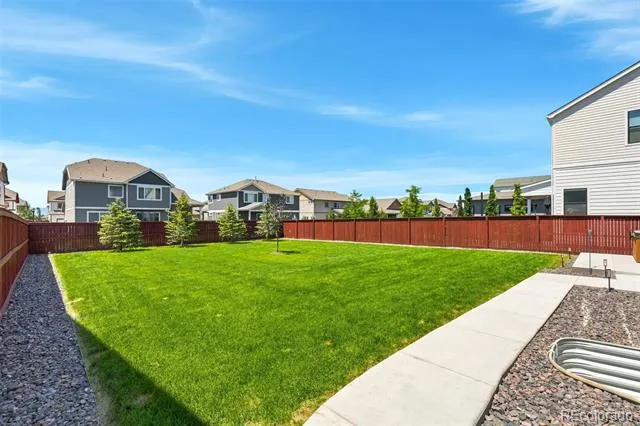 1702 Branching Canopy Drive Windsor, CO 80550