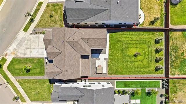 1702 Branching Canopy Drive Windsor, CO 80550