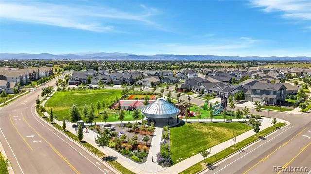 1702 Branching Canopy Drive Windsor, CO 80550