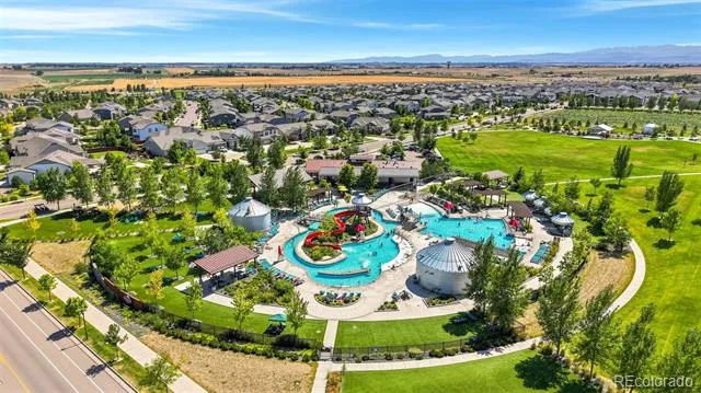1702 Branching Canopy Drive Windsor, CO 80550
