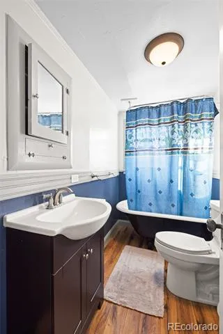 1608 Mount Massive Drive Leadville, CO 80461