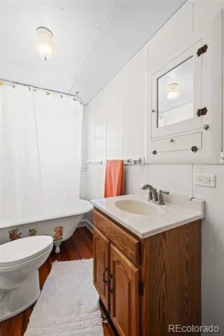 1608 Mount Massive Drive Leadville, CO 80461