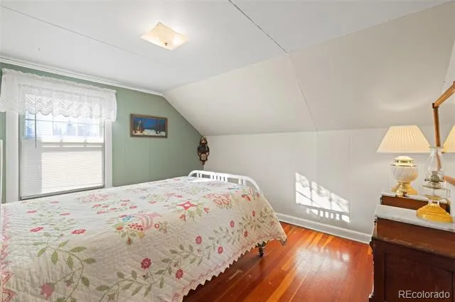 1608 Mount Massive Drive Leadville, CO 80461