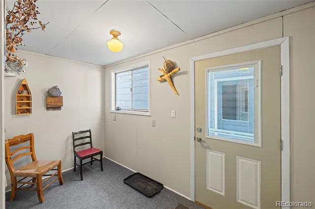 1608 Mount Massive Drive Leadville, CO 80461