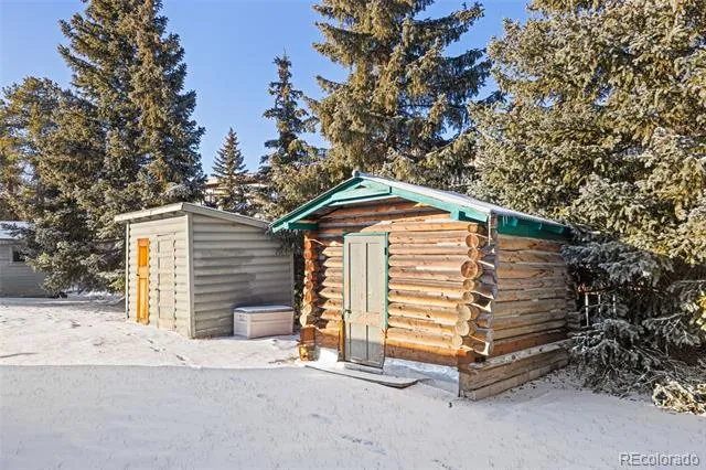 1608 Mount Massive Drive Leadville, CO 80461