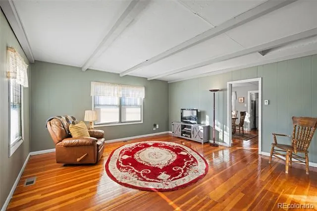 1608 Mount Massive Drive Leadville, CO 80461