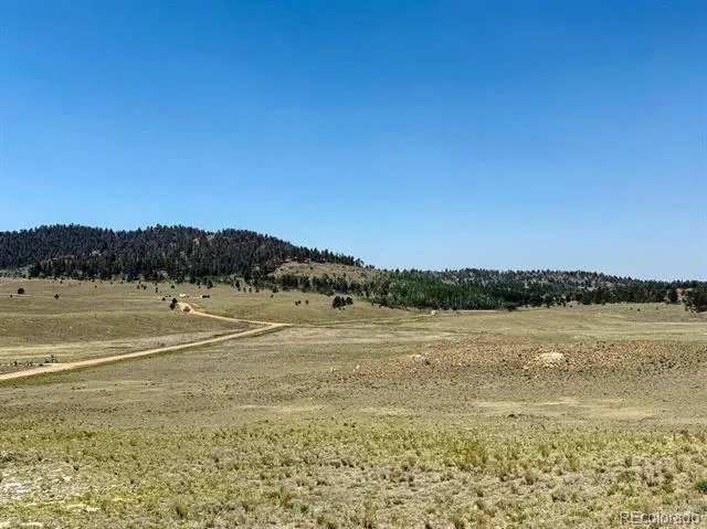 609 Commanche Hartsel, CO 80449