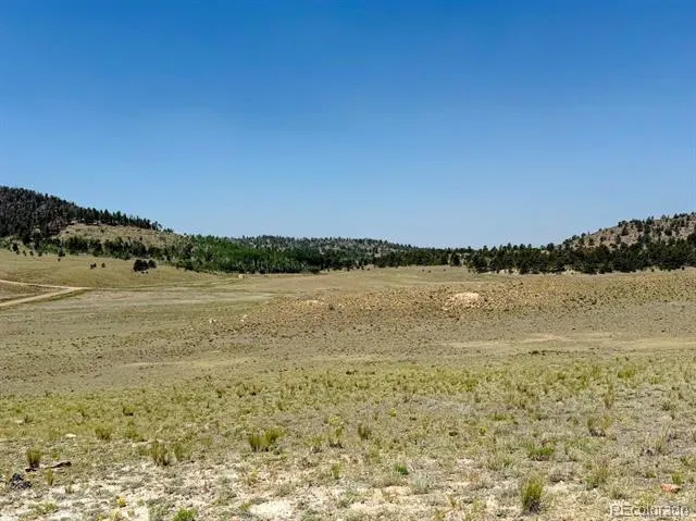 609 Commanche Hartsel, CO 80449