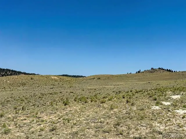 609 Commanche Hartsel, CO 80449
