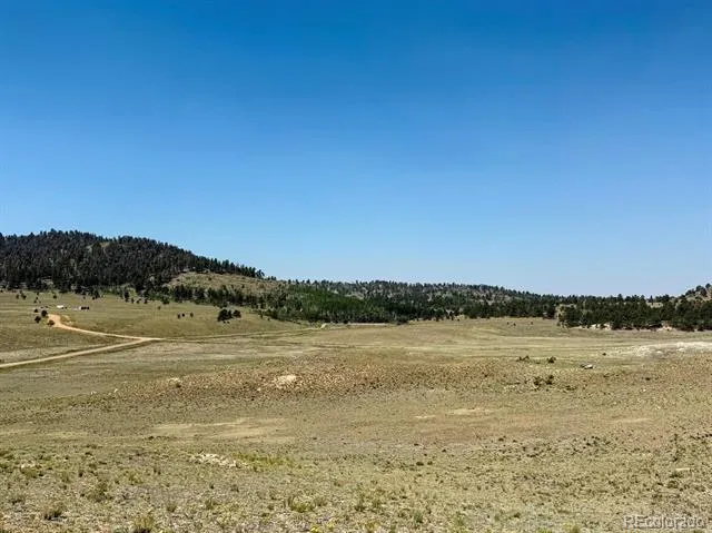 609 Commanche Hartsel, CO 80449