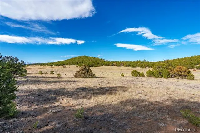 1382 Chinook Drive Canon City, CO 81212