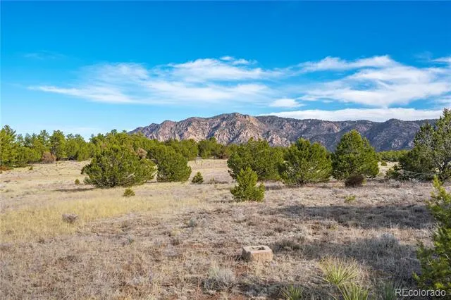 1382 Chinook Drive Canon City, CO 81212