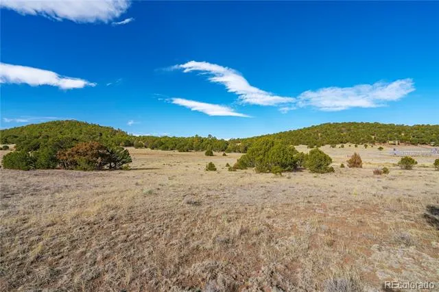 1382 Chinook Drive Canon City, CO 81212