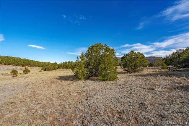 1382 Chinook Drive Canon City, CO 81212