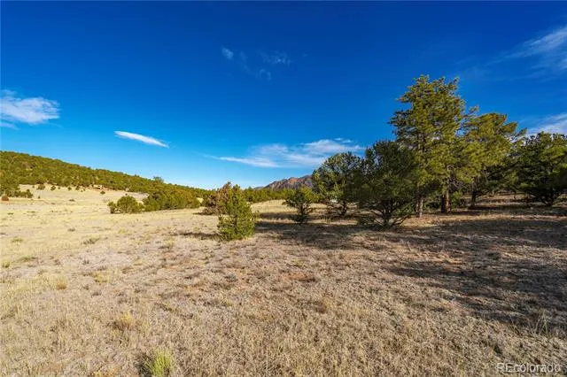 1382 Chinook Drive Canon City, CO 81212