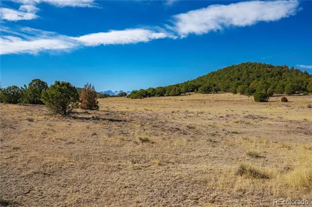 1382 Chinook Drive Canon City, CO 81212