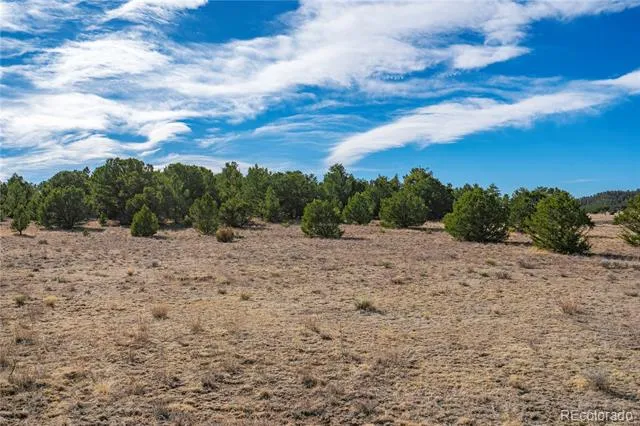 1382 Chinook Drive Canon City, CO 81212