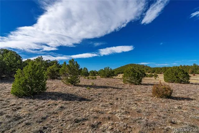 1382 Chinook Drive Canon City, CO 81212