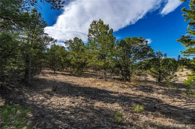 1382 Chinook Drive Canon City, CO 81212