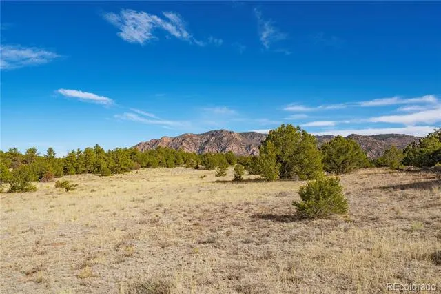 1382 Chinook Drive Canon City, CO 81212