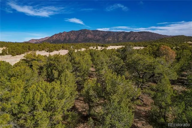 1382 Chinook Drive Canon City, CO 81212