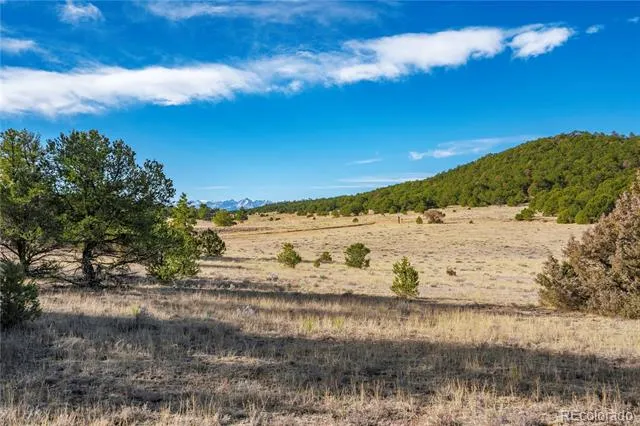 1382 Chinook Drive Canon City, CO 81212