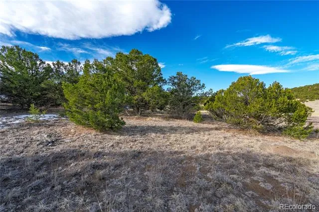 1382 Chinook Drive Canon City, CO 81212
