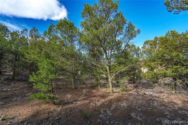 1382 Chinook Drive Canon City, CO 81212