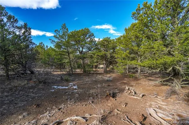 1382 Chinook Drive Canon City, CO 81212