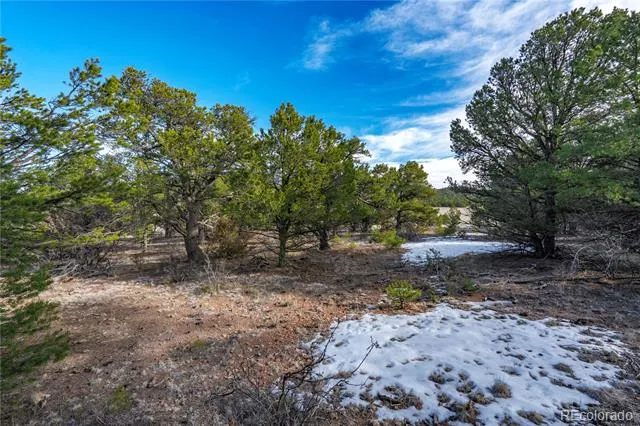 1382 Chinook Drive Canon City, CO 81212