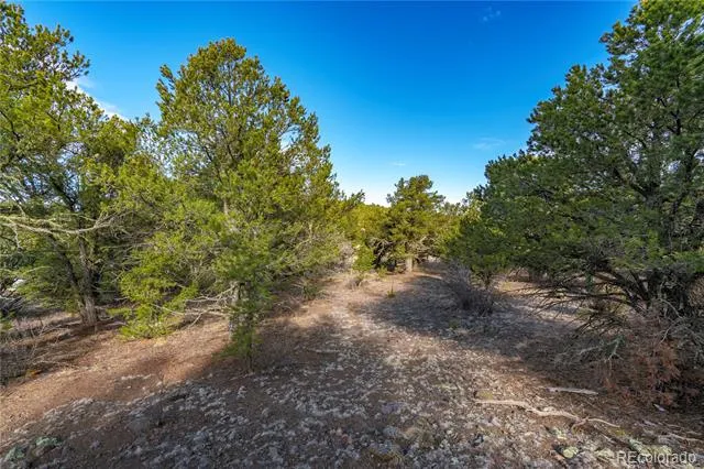1382 Chinook Drive Canon City, CO 81212